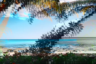 Mexico beach with palm trees and sandy beaches