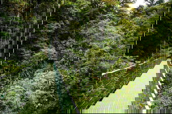 La Fortuna Hanging Bridge Rainforest in Costa Rica