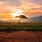 View our The Great African Journey trip