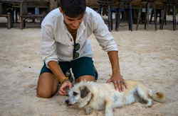 Wildlife / Conservation Tours
