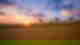Desert sand hill with sunset, three men walking with camels
