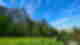 Beautiful landscape with bright blue sky, fresh green grass, a still lake, tall forest trees and high grey cliffs above