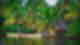 Lush jungle palm trees with small wooden hut by dark river