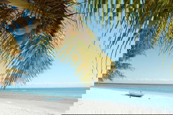 Madagascar Sandy beach with palm tree and boat