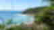 Tropical flora surrounding grey rocks and beach with blue ocean on clear day, forest in distance, Australia