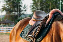 Ranch work in America