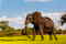 View more Africa trips