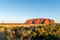 View more Australasia trips