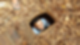 A traveller poking their head out of an entrance to a tunnel