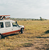 Group of travellers in safari truck looking at giraffe