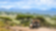 Safari truck driving through Serengeti National Park