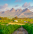 stellenbosch with mountains and vineyard